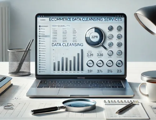 Top 10 Essentials For Ecommerce Product Data Cleansing Services