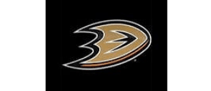 Data entry services - Anaheim-Ducks