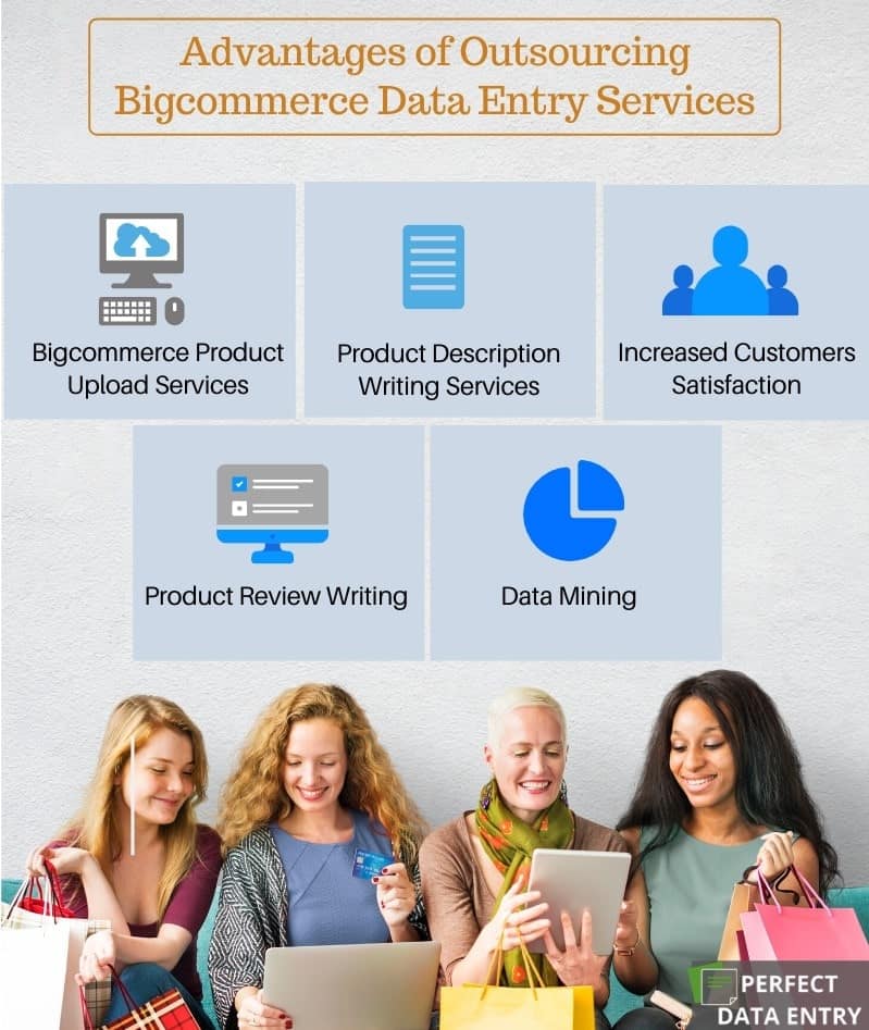 Bigcommerce Data Entry Service