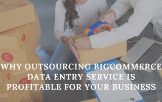 Bigcommerce Data Entry Service