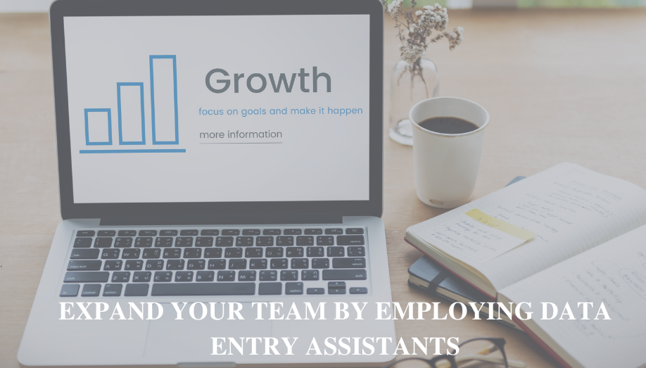 Expand Your Team by employing Data Entry Assistants