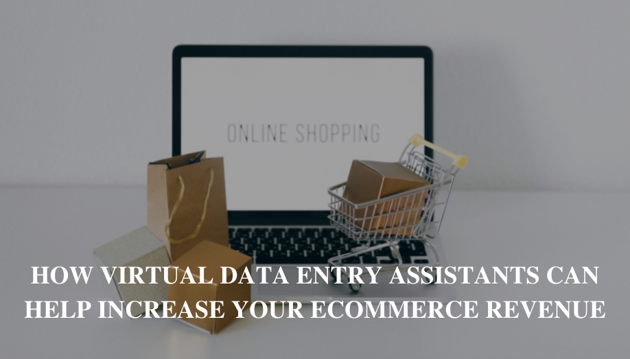 How Virtual Data Entry Assistants Can Help Increase Your eCommerce Revenue