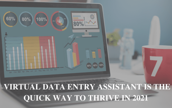 Virtual Data Entry Assistant is the Quick Way to Thrive in 2021